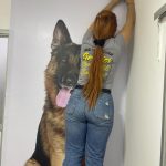 Imagen de WhatsApp 2025-08-12 a las 10.24.09_5742f969