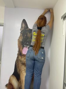 Imagen de WhatsApp 2025-08-12 a las 10.24.09_5742f969